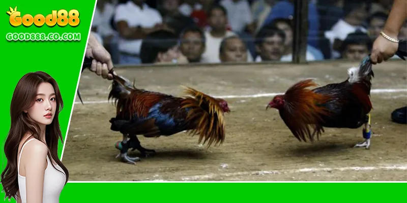 Bảo đảm và riêng tư